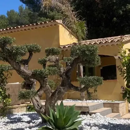 Aimée - Loft Sanary-sur-Mer