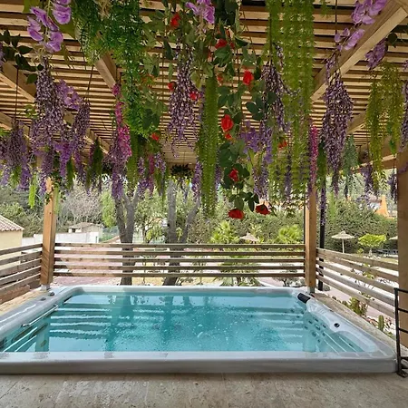 Aimée - Loft * Sanary-sur-Mer